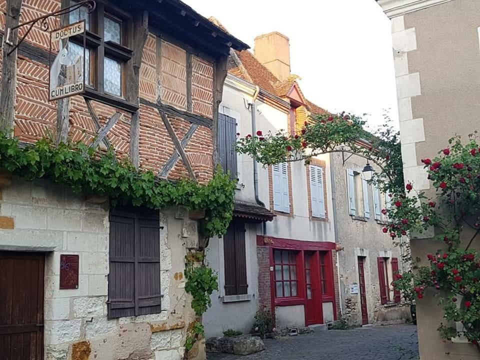 Le Meuble Monestois Villa Mennetou-sur-Cher Eksteriør billede